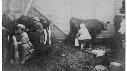 1924 Immigration Act