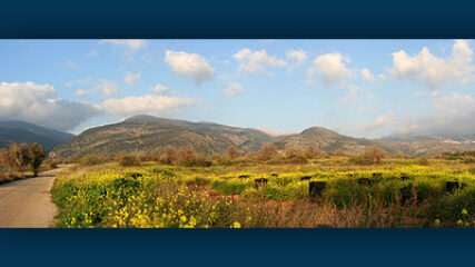 Golan Heights and Syria