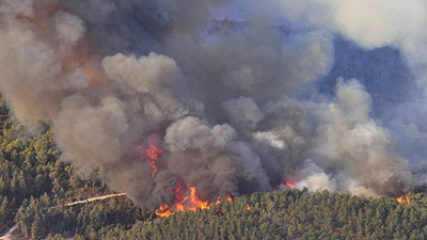 Carmel Forest Fire