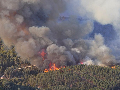 Carmel Forest Fire