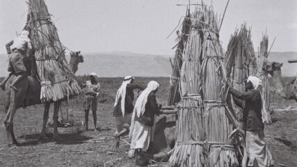 1931-1949: Arab Land Sales to Jews — Palestine Arab Press, British Reports and Zionist Accounts