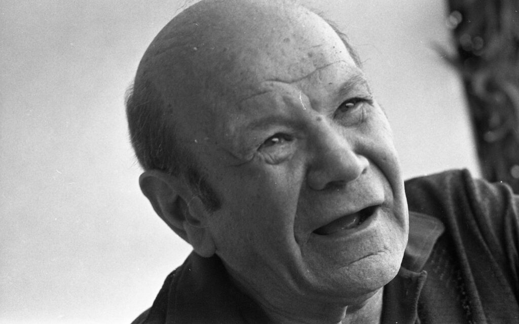 Actor Meir Margalit Is Born