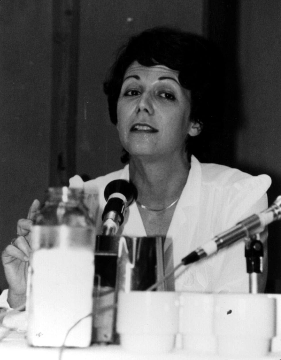 Anita Shapira, 1940-